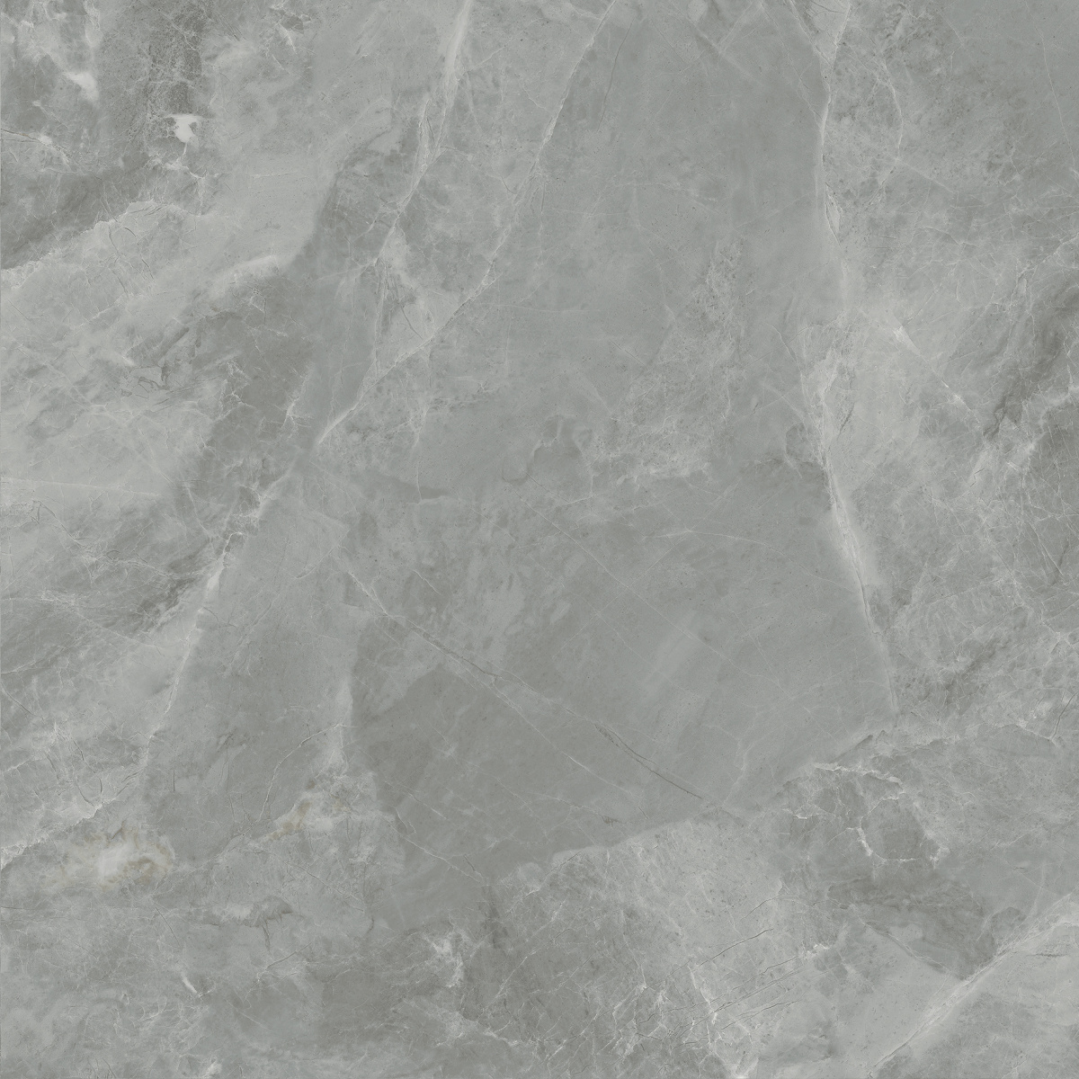 CR6060G0401R На пол Regnum Grigio серый матовый 59.5х59.5 - фото 2