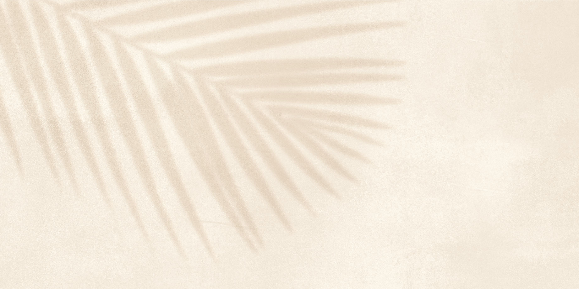 GT246VG На стену Dominica Бежевый пальма 30x60 - фото 4