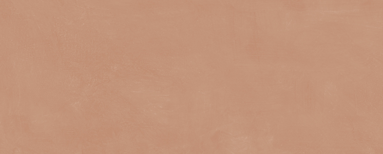 7254 На стену Каннареджо Оранжевый матовый 20x50x0.8 - фото 5