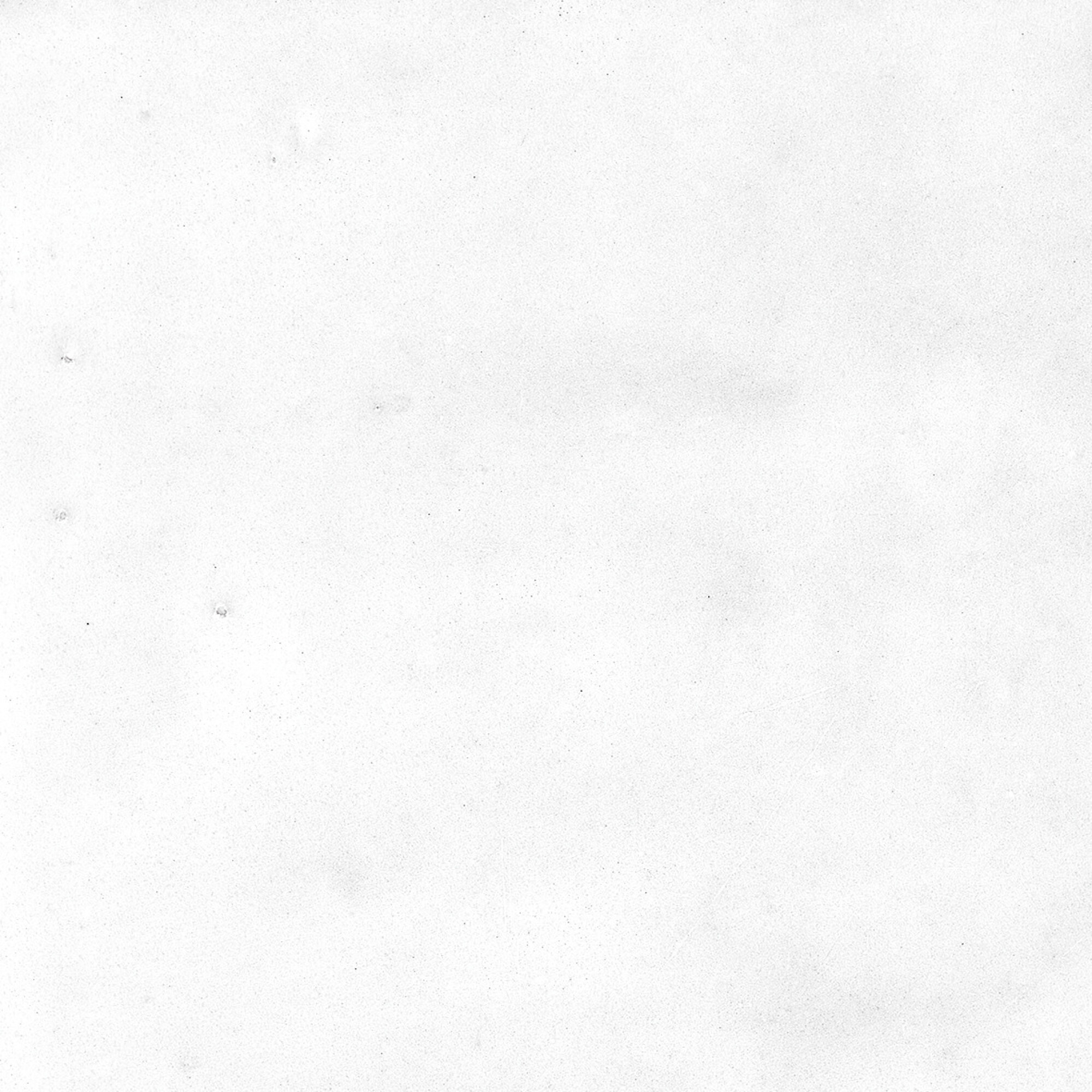 43294 На стену Samira White 10x10 - фото 25