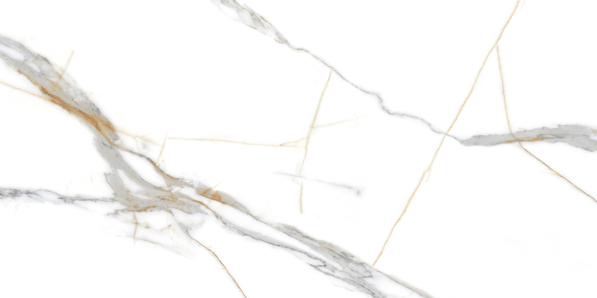 PRO 1059G На пол Roma Grigio Gloss 1200x600 - фото 8