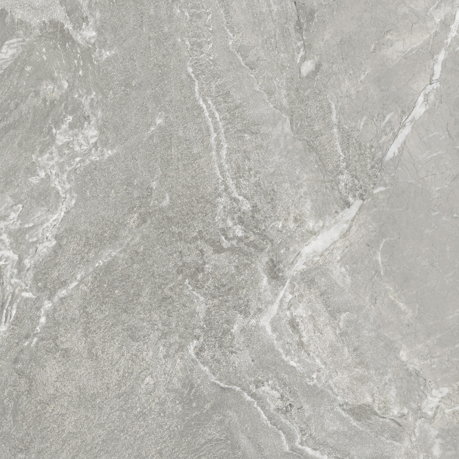 D60259M На пол Wild Light матовый 600x600x9.5 - фото 11