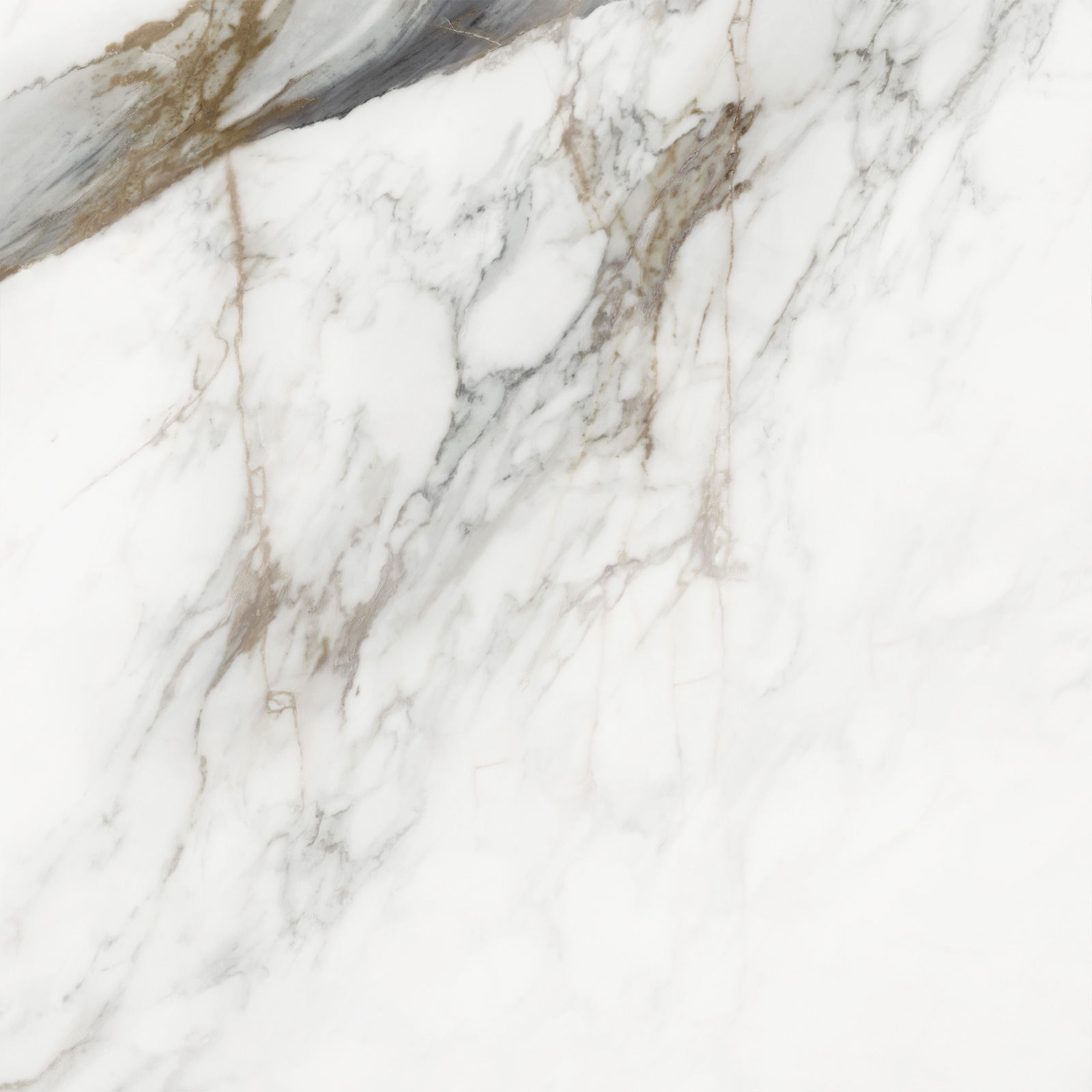 D60208M Напольный Carrara Cersei Белый карвинг 600x600x9.5 - фото 13