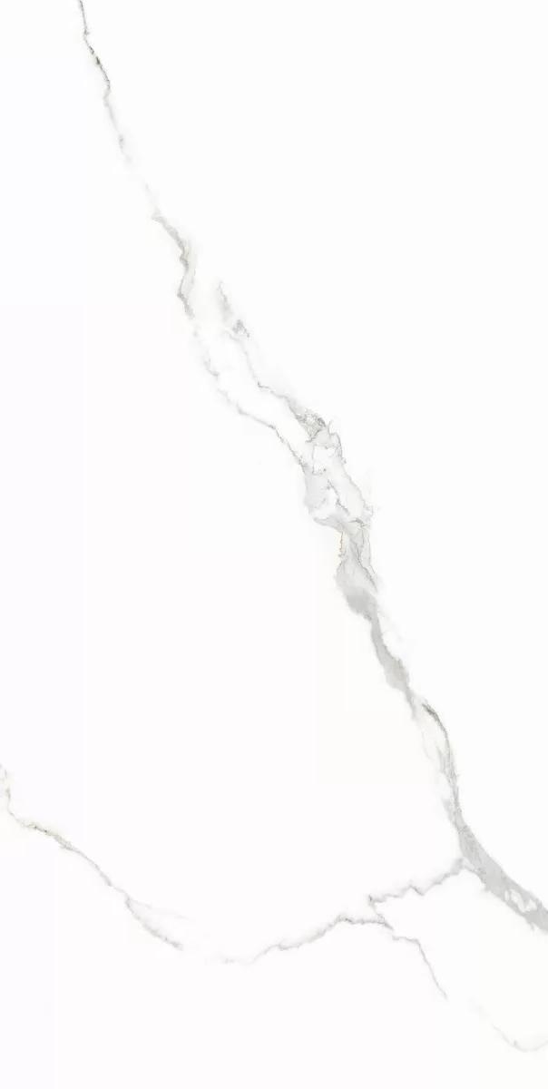 6493-0139 На пол Иней / Inei Белый 60х120 - фото 5