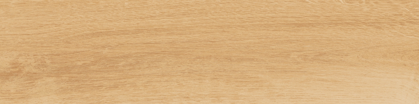 KM1040G0011N На пол Аргания Бежевый матовый 9.9x40.2x0.8 - фото 2