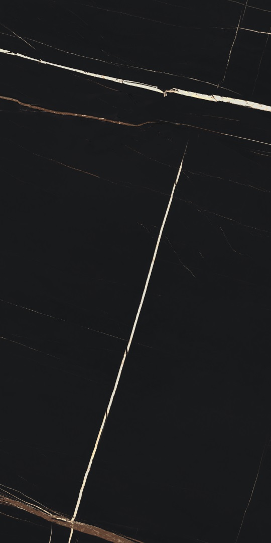 610015000499 На пол Charme Deluxe Sahara Noir Cer. 60x120 - фото 4