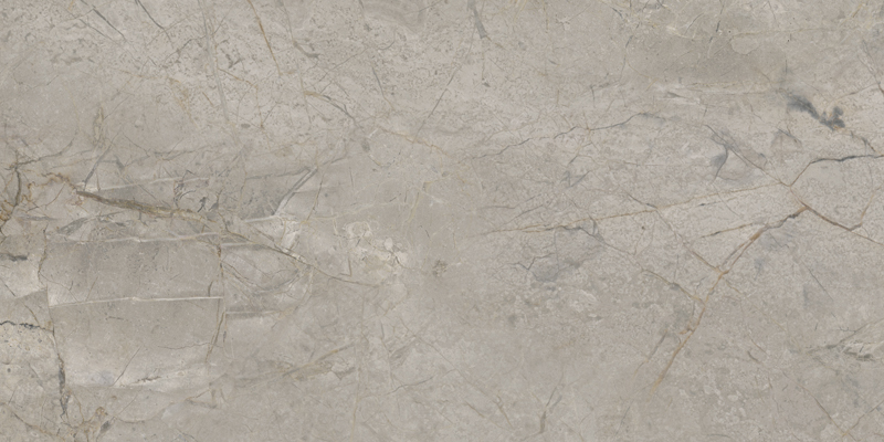 2A22 На пол Elements Lux Silver Grey Lap Rt 120x60 - фото 2