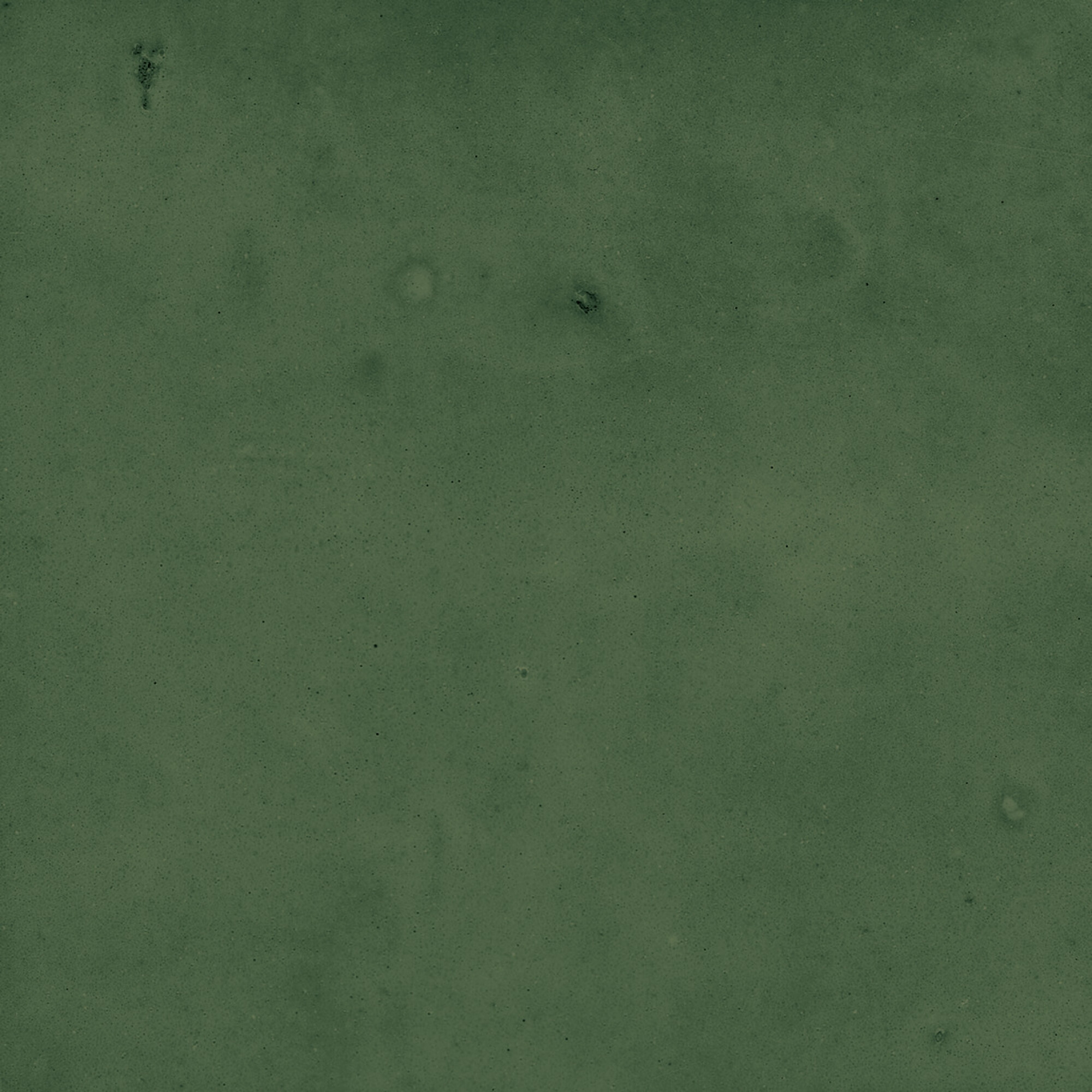 43289 На стену Samira Green 10x10 - фото 26