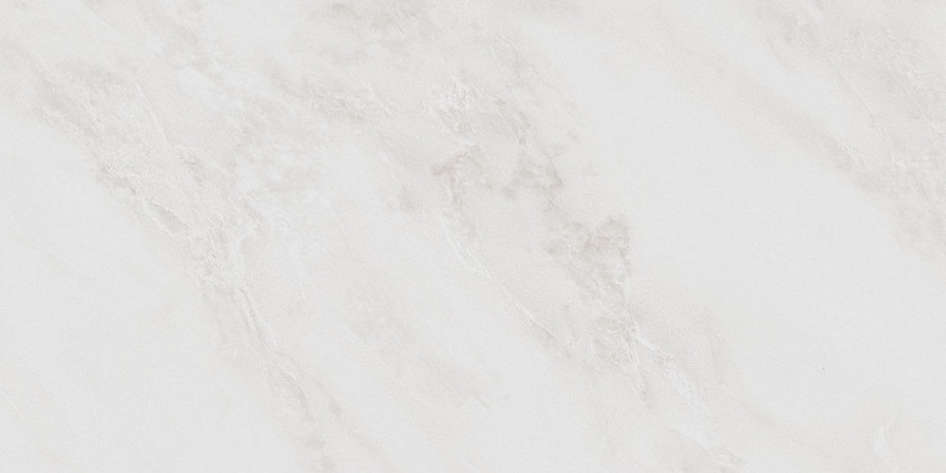 SG810090R На пол Парнас Серый светлый обрезной 40x80x0.9