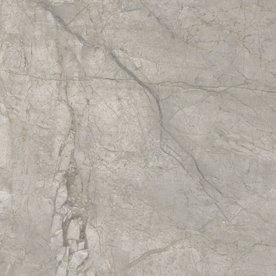 A2O2 На пол Elements Lux Silver Grey Nat Rt 60x60 - фото 3