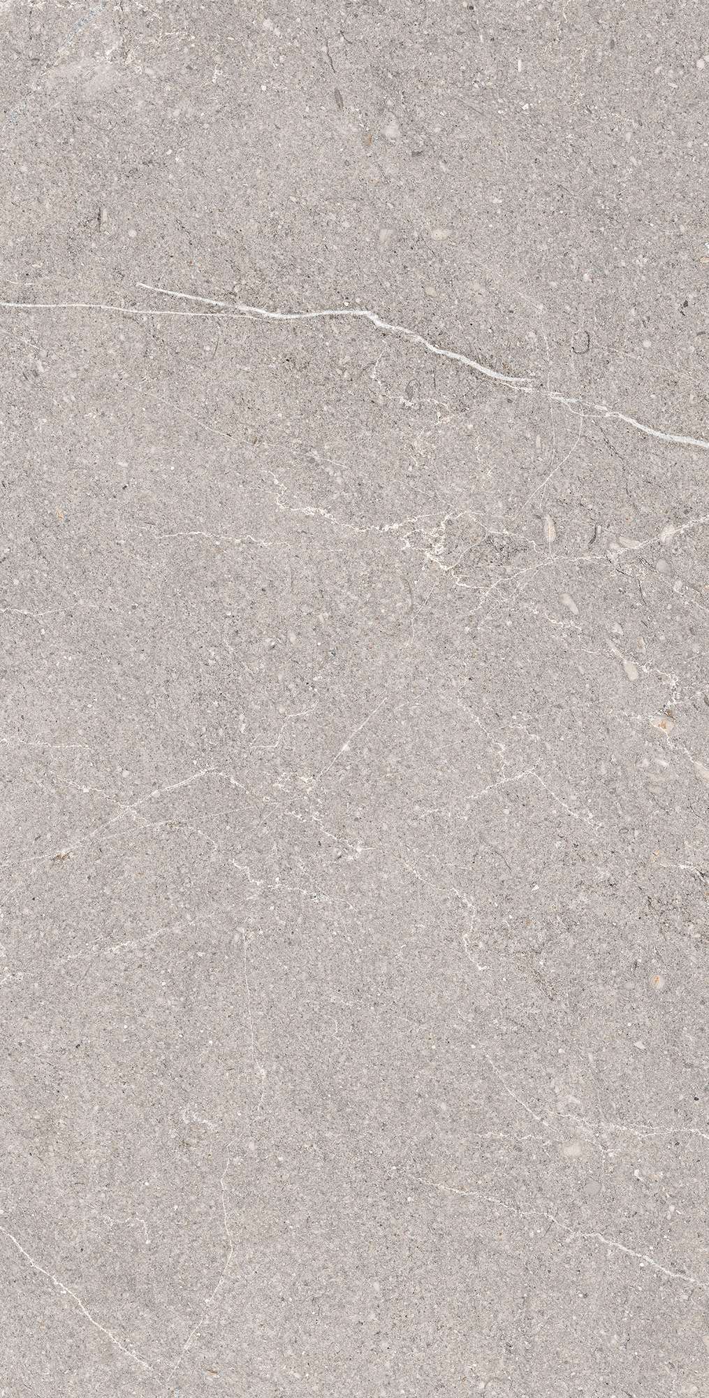 RG6001-A На пол Equistone Gris Rotto Glossy Ink 60x120 - фото 5