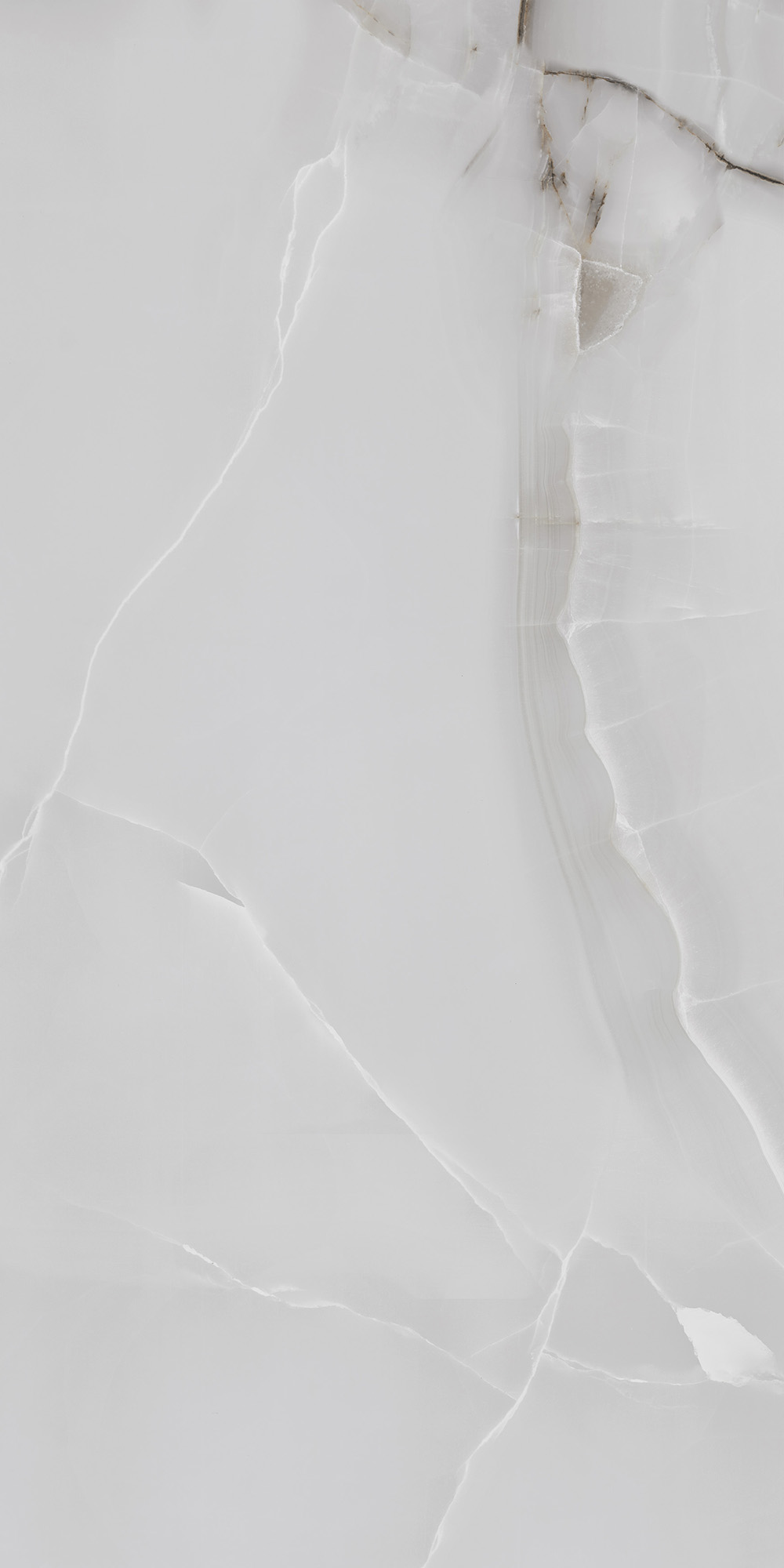 FP1025-A На пол Onyx Line Grey Full Polished 60x120 - фото 7