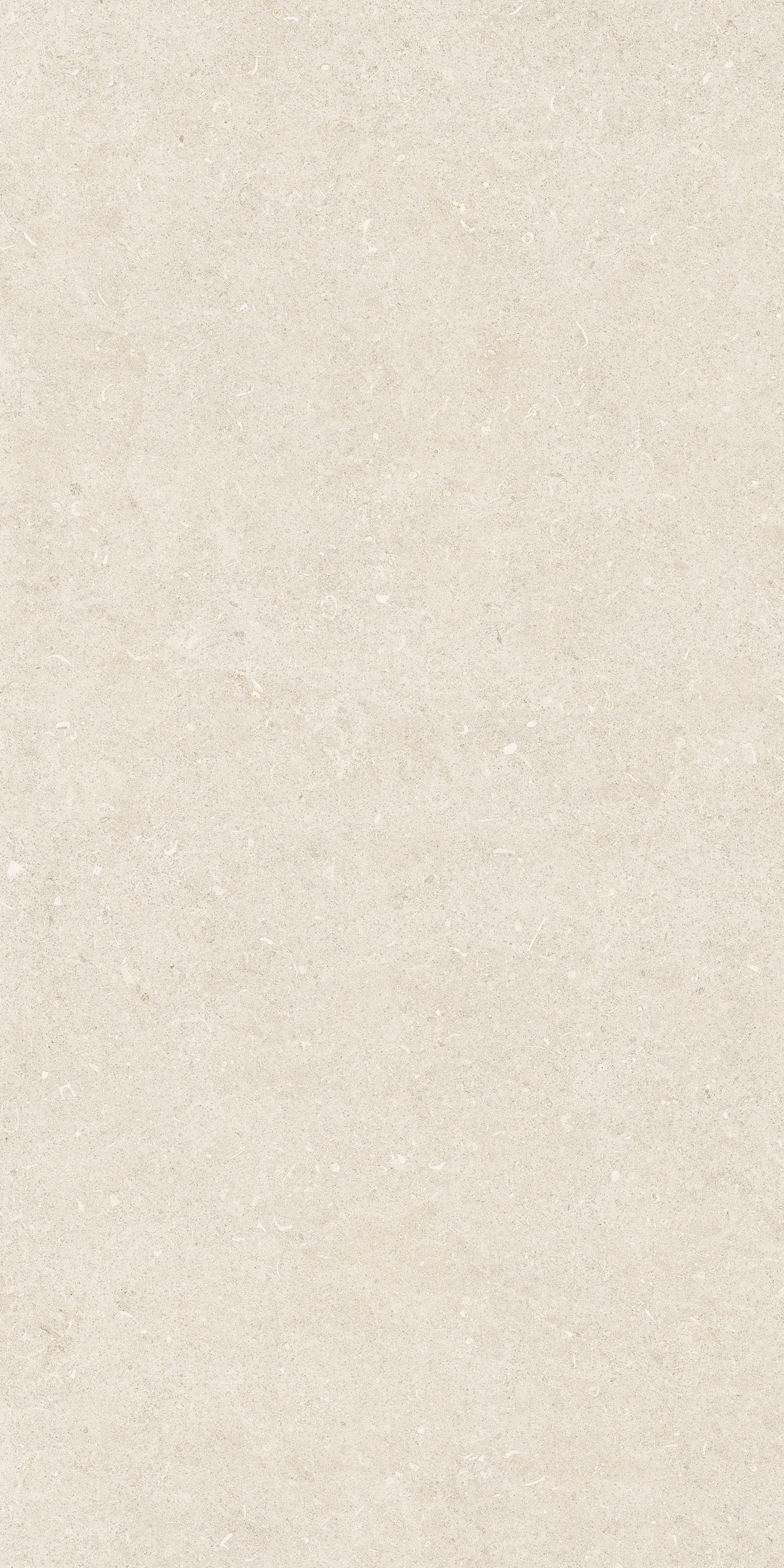 785480 На пол Rinascenza Arena Bianco Antico Matte 60x120 - фото 2