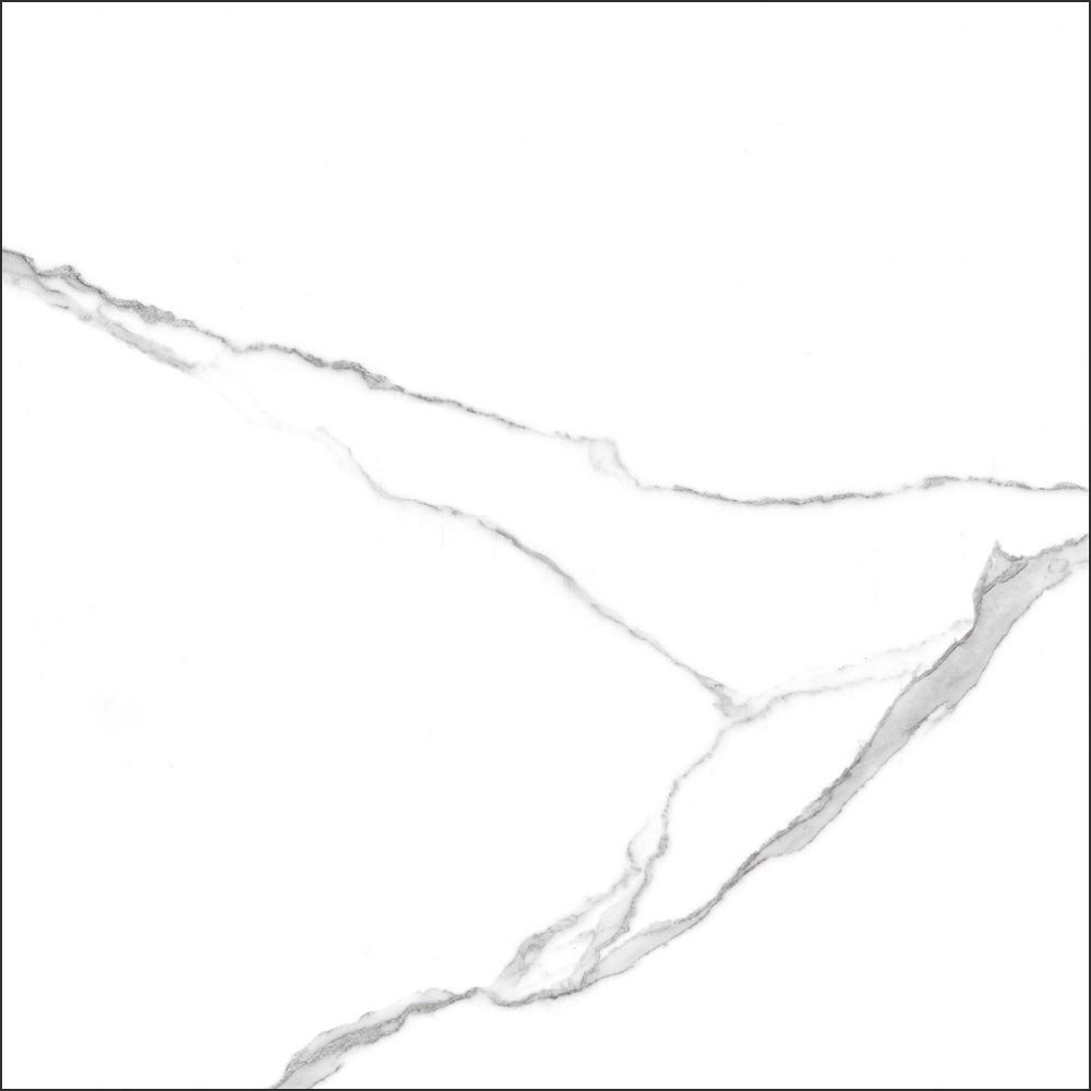 GT60601503MR На пол Anima Белый грес глаз. матовый - фото 14