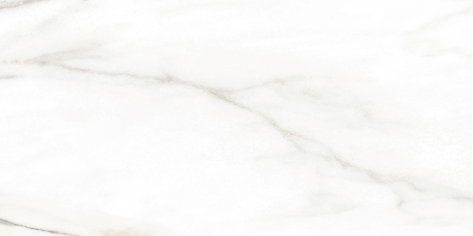 TWU2550BOH07 На стену Euphoria 04 249x500x7 - фото 4