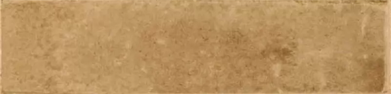 00R8FP36 На стену Look Beige Glossy - фото 11