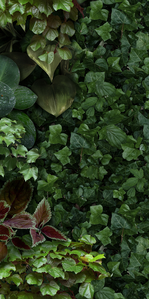 4100154 На стену Paper41 Pro Jane D