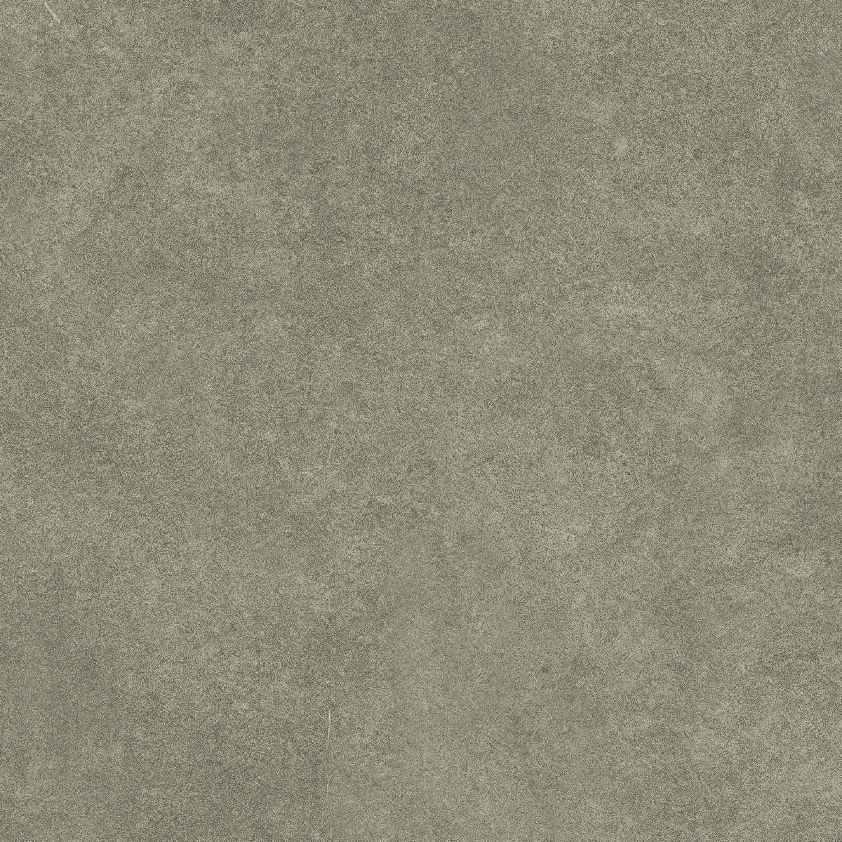 На пол Levels Forest Matt 20x20