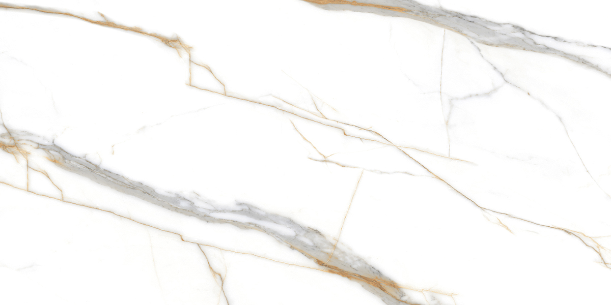 PRO 1059G На пол Roma Grigio Gloss 1200x600 - фото 4