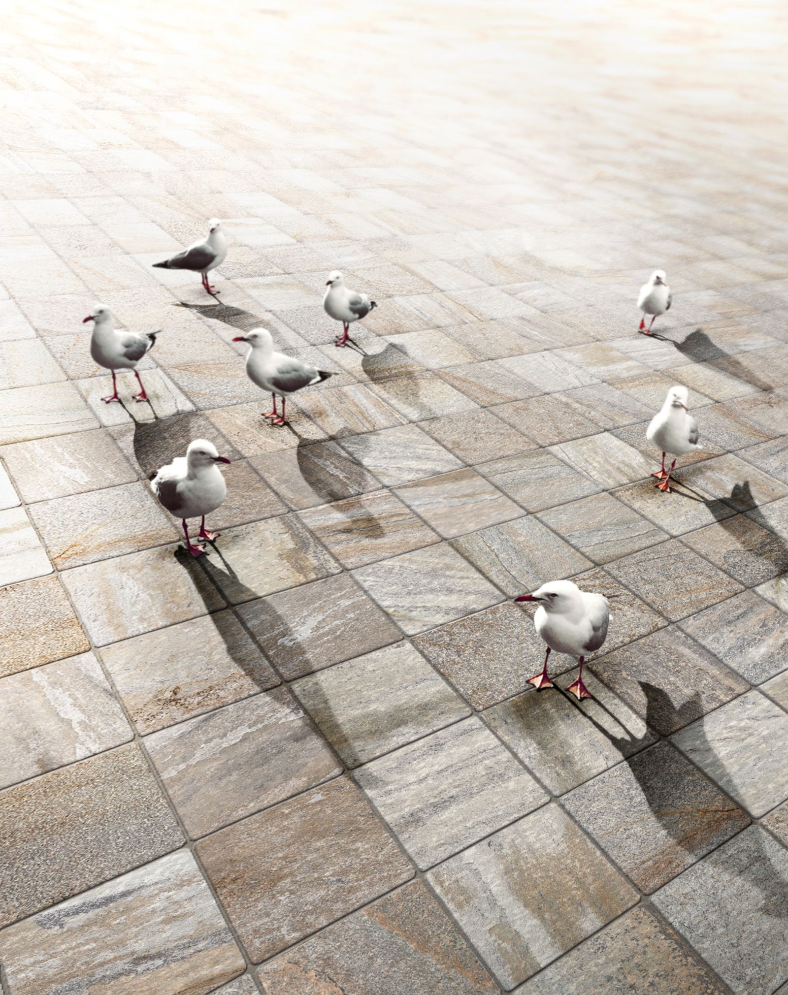 Imola Ceramica Trail18 - фото 8