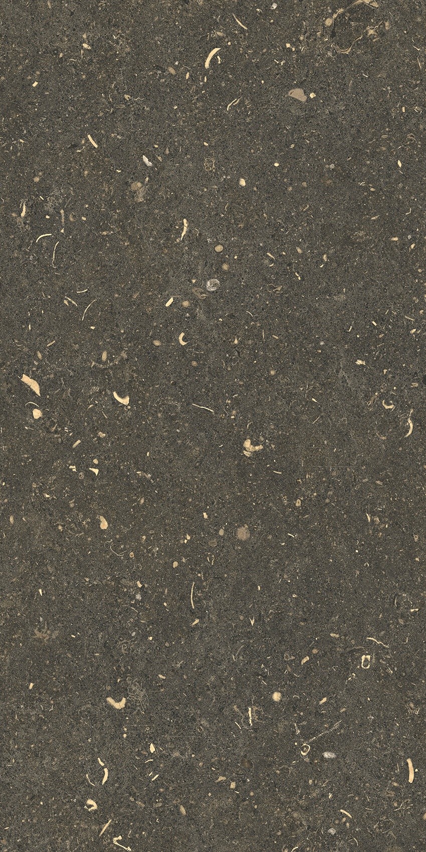 785491 На пол Rinascenza Arena Platino Matte 30x60 - фото 2