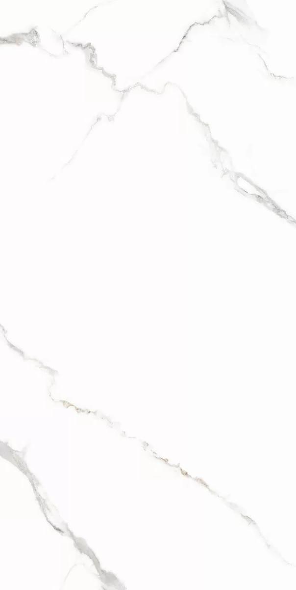 6493-0139 На пол Иней / Inei Белый 60х120 - фото 4