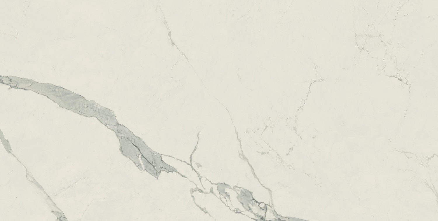 610010002170 На пол Empire Statuario Rett 80x160 - фото 5