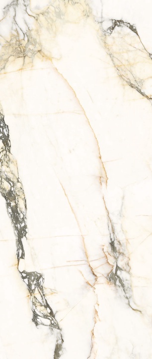 AE PAZ6 278 LPM На пол Aesthetica AE PAZ6 278 LPM 120x278 - фото 4