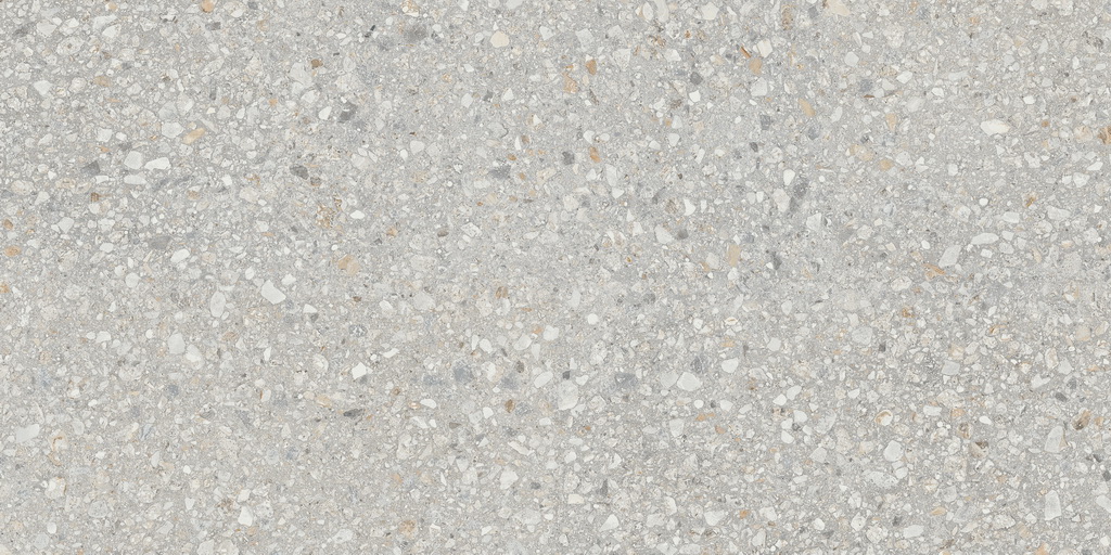 AG21/NS_R9/60x120x10R/GW На пол Aglomerat AG21 неполированный 60x120