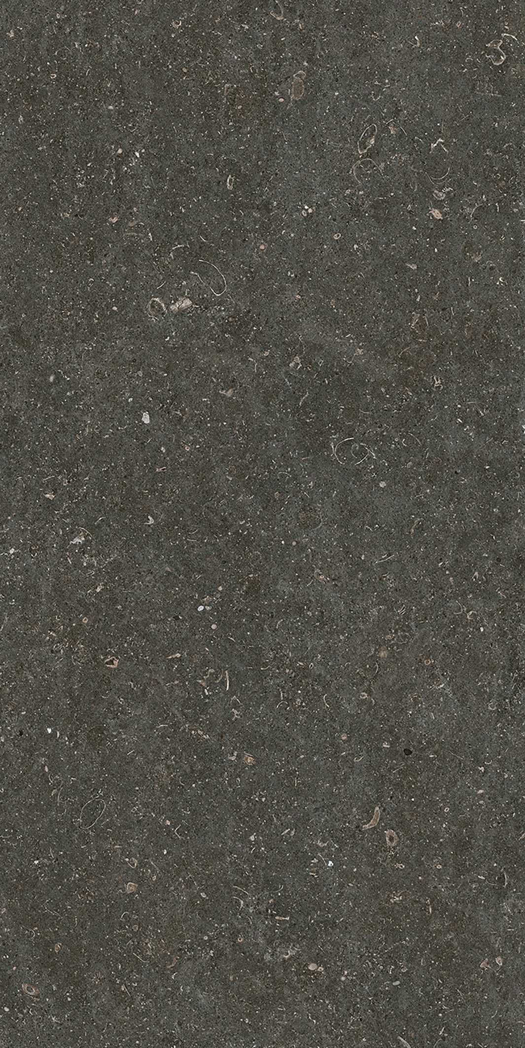 785577 На пол Rinascenza Arena Platino Matte 6mm 60x120 - фото 10