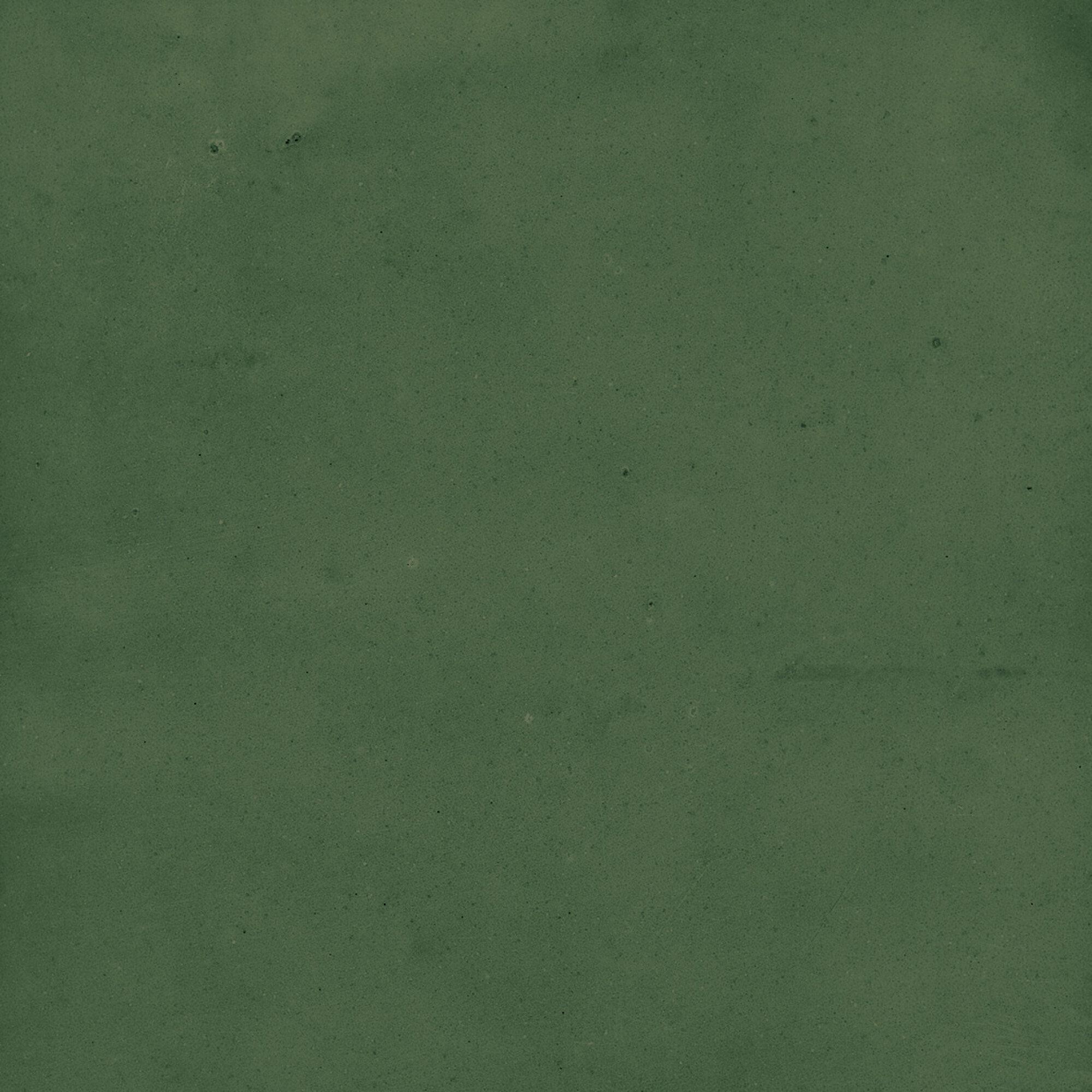 43289 На стену Samira Green 10x10 - фото 48