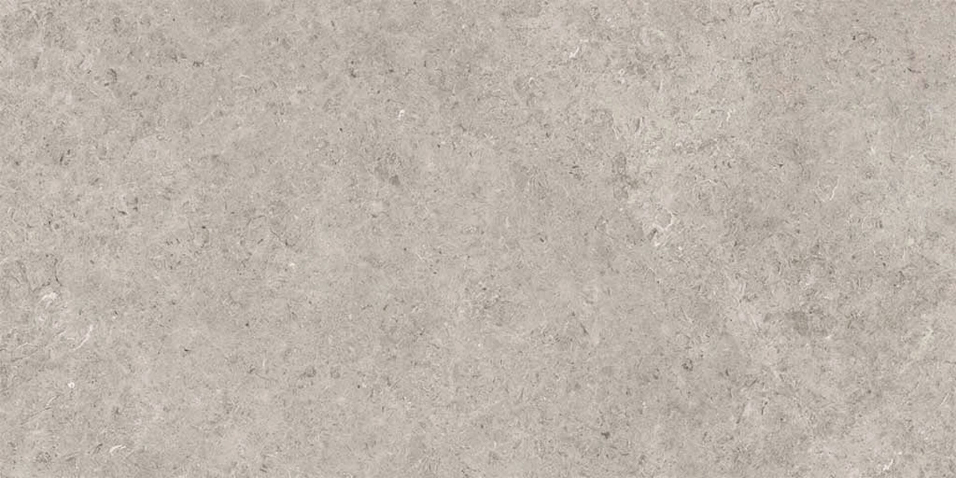 На пол Seashell Natural R10 Carving 60x120 - фото 3