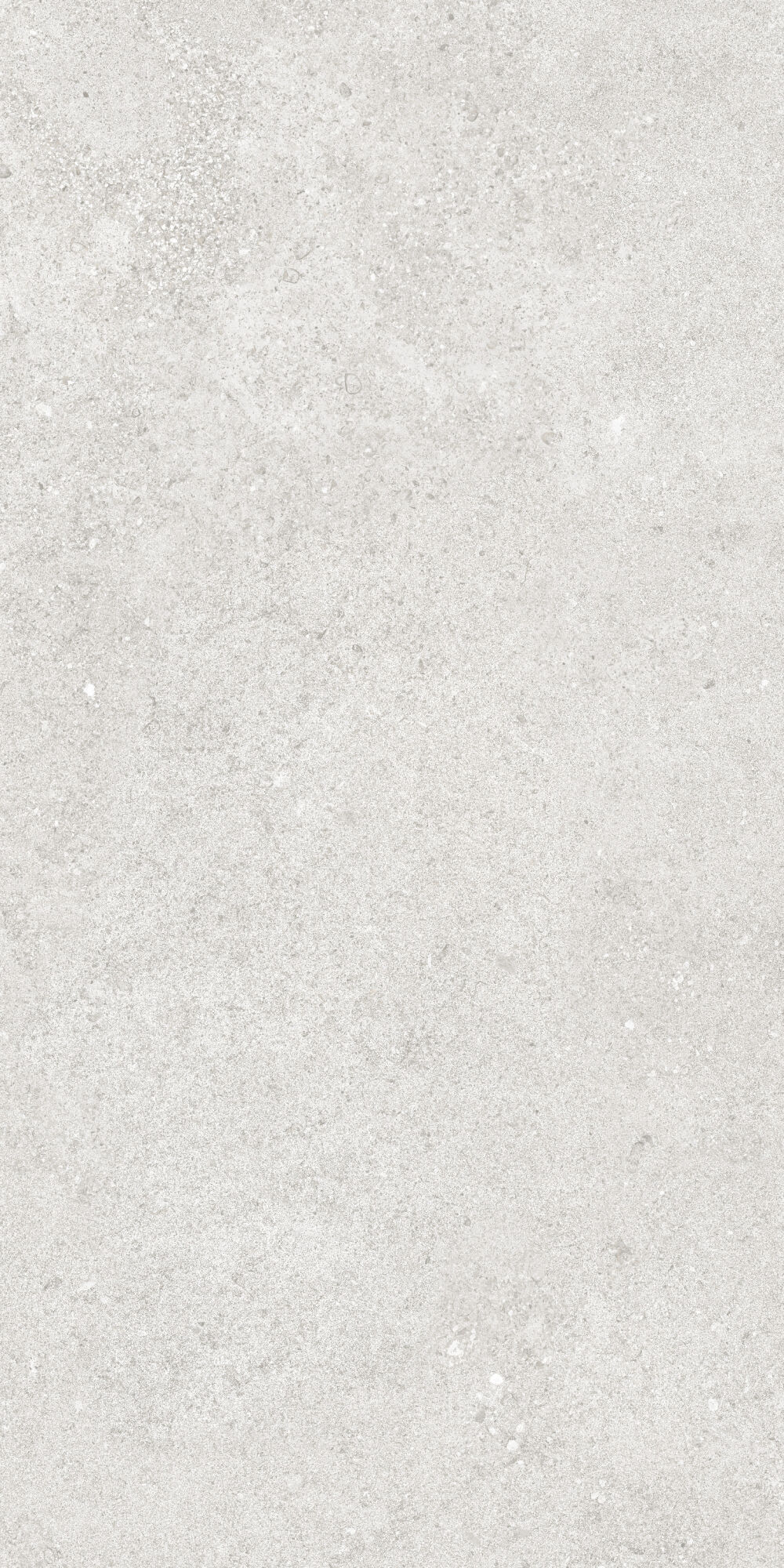 36904 На пол Cluny Silver 4D/50X100X2/A/R 50x100 - фото 14