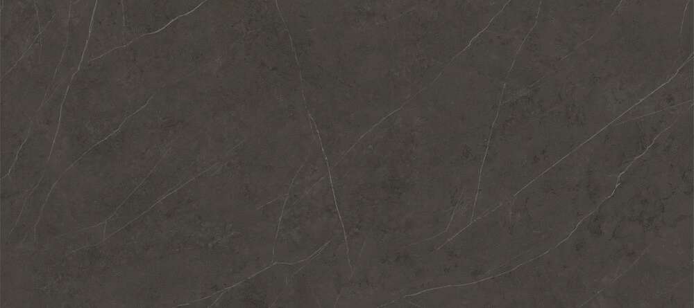 100332608 На пол Liem Black Dark Nature 120x270 - фото 3