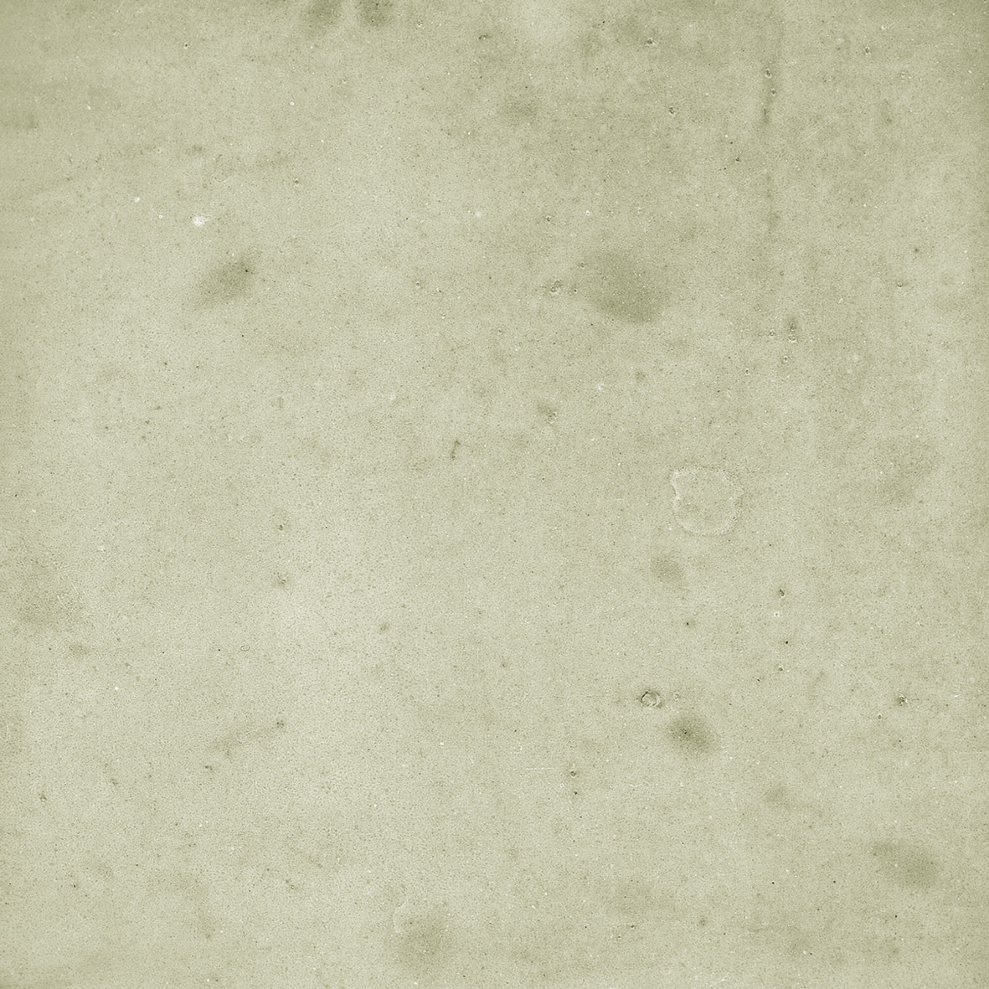 43292 На стену Samira Sage 10x10 - фото 7