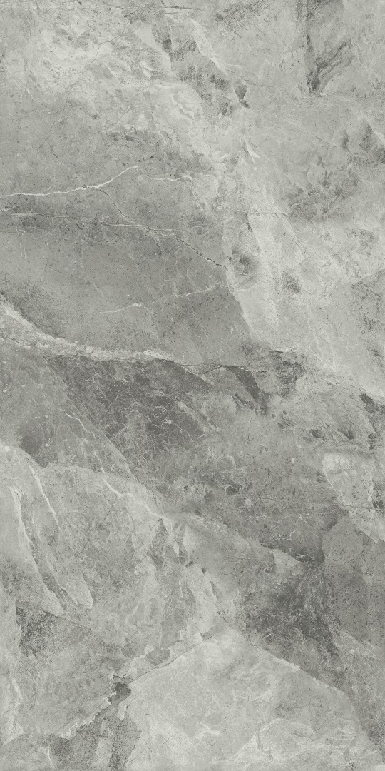 610010001689 На пол Charme Extra Floor Project Силвер 80x160 Натуральный И Реттифицированный - фото 2