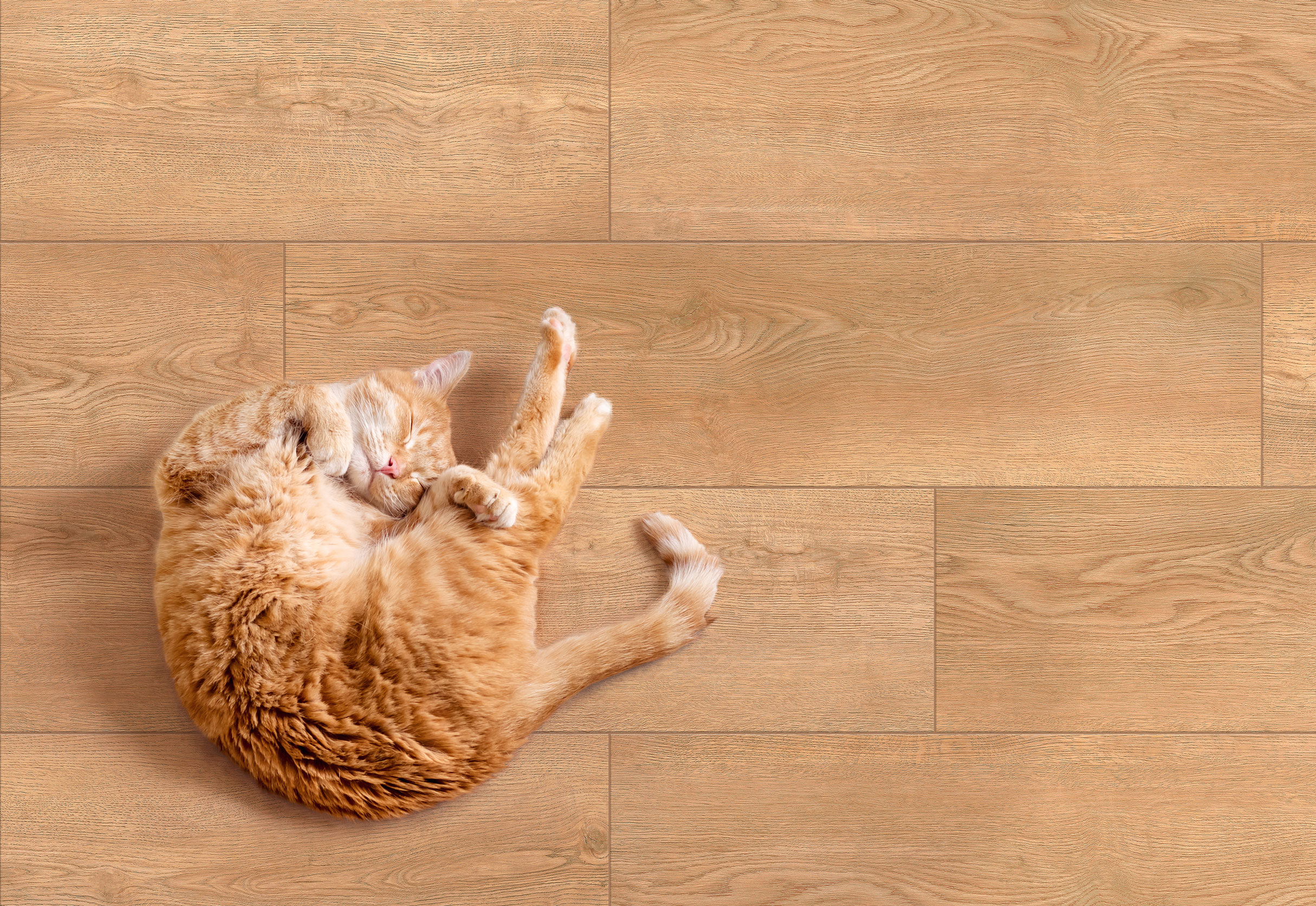 Глобал Тиле Kronborg