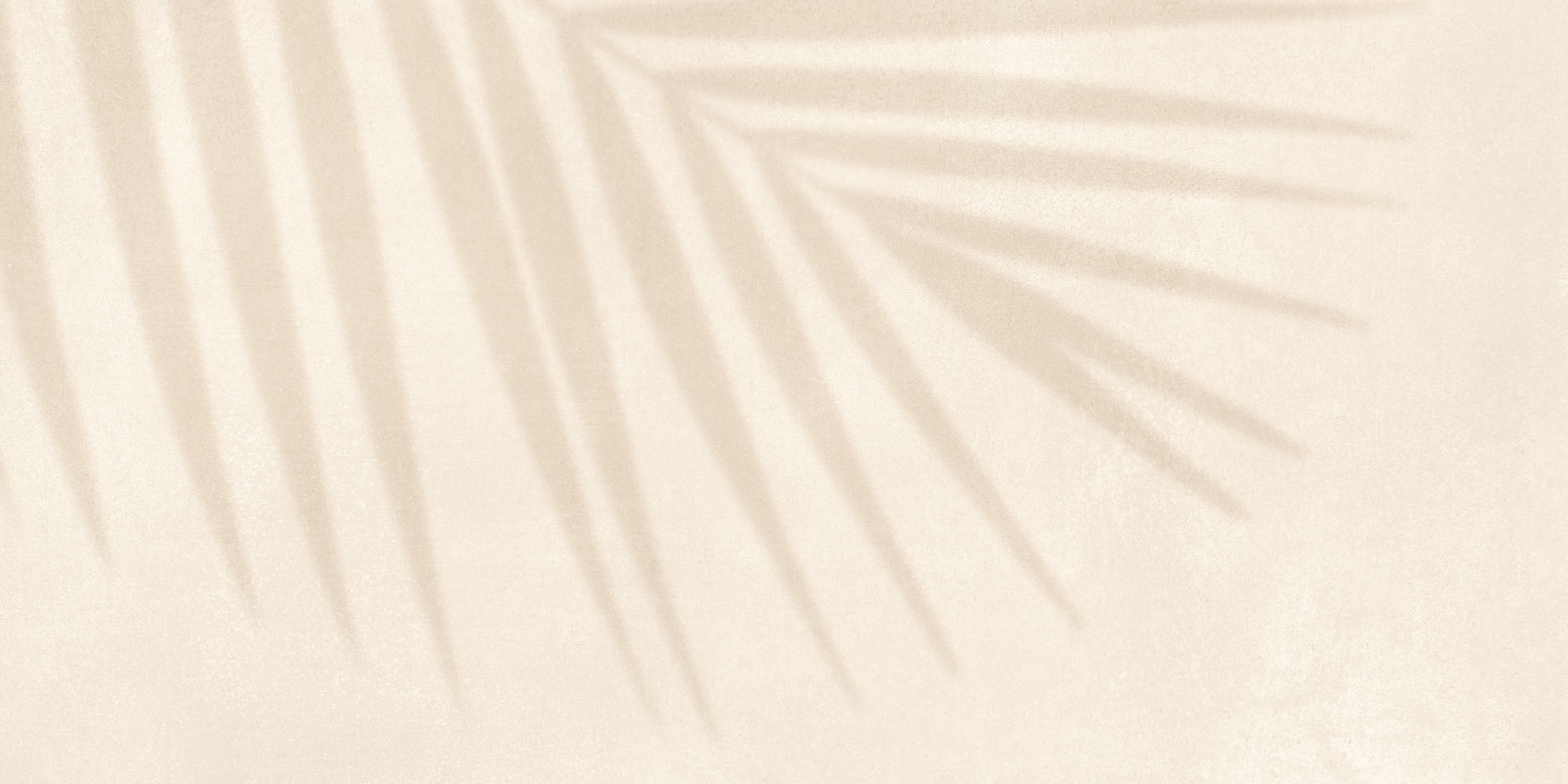 GT246VG На стену Dominica Бежевый пальма 30x60