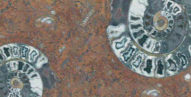 FM3366 На пол Natural Series Fossil Mix 33х66