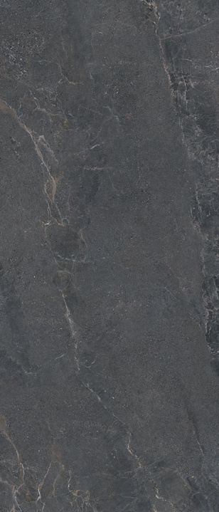 LS6AL50 На пол Anthology Slimtech 05 Dark Nat. RT 6mm 120x278 - фото 2