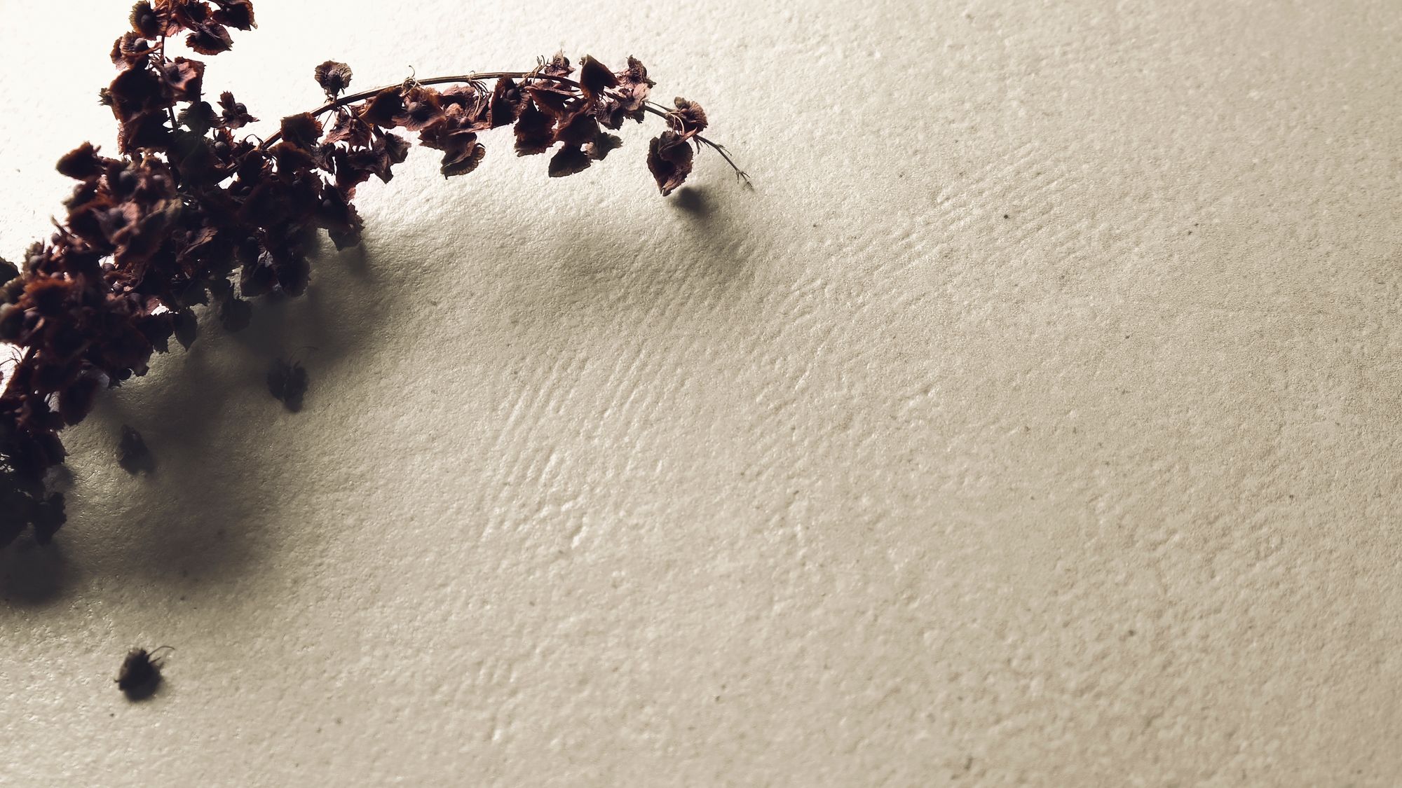 118602 На пол Koine Terra 90x90 - фото 16