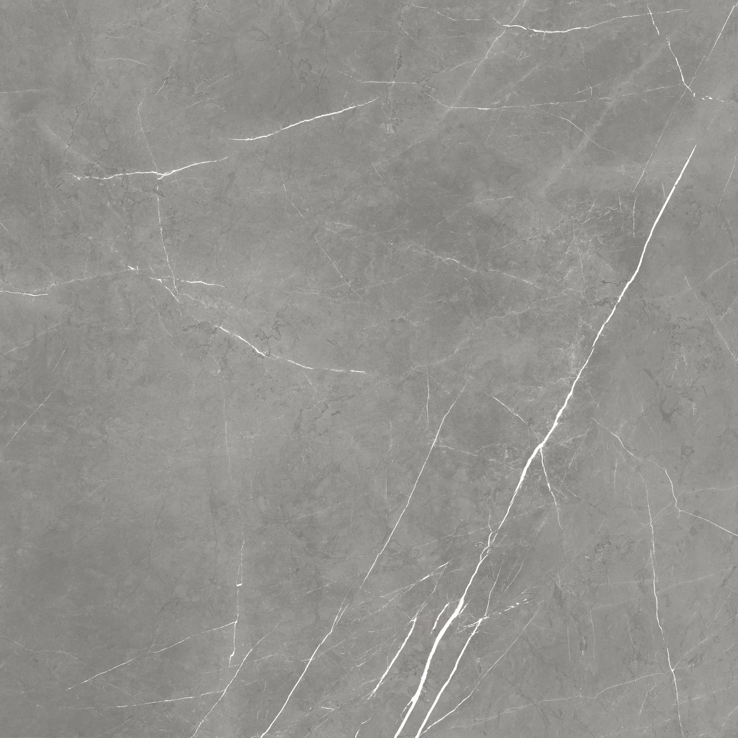 610015000649 На пол Forte dei Marmi Elegant Grey 80x80 - фото 3