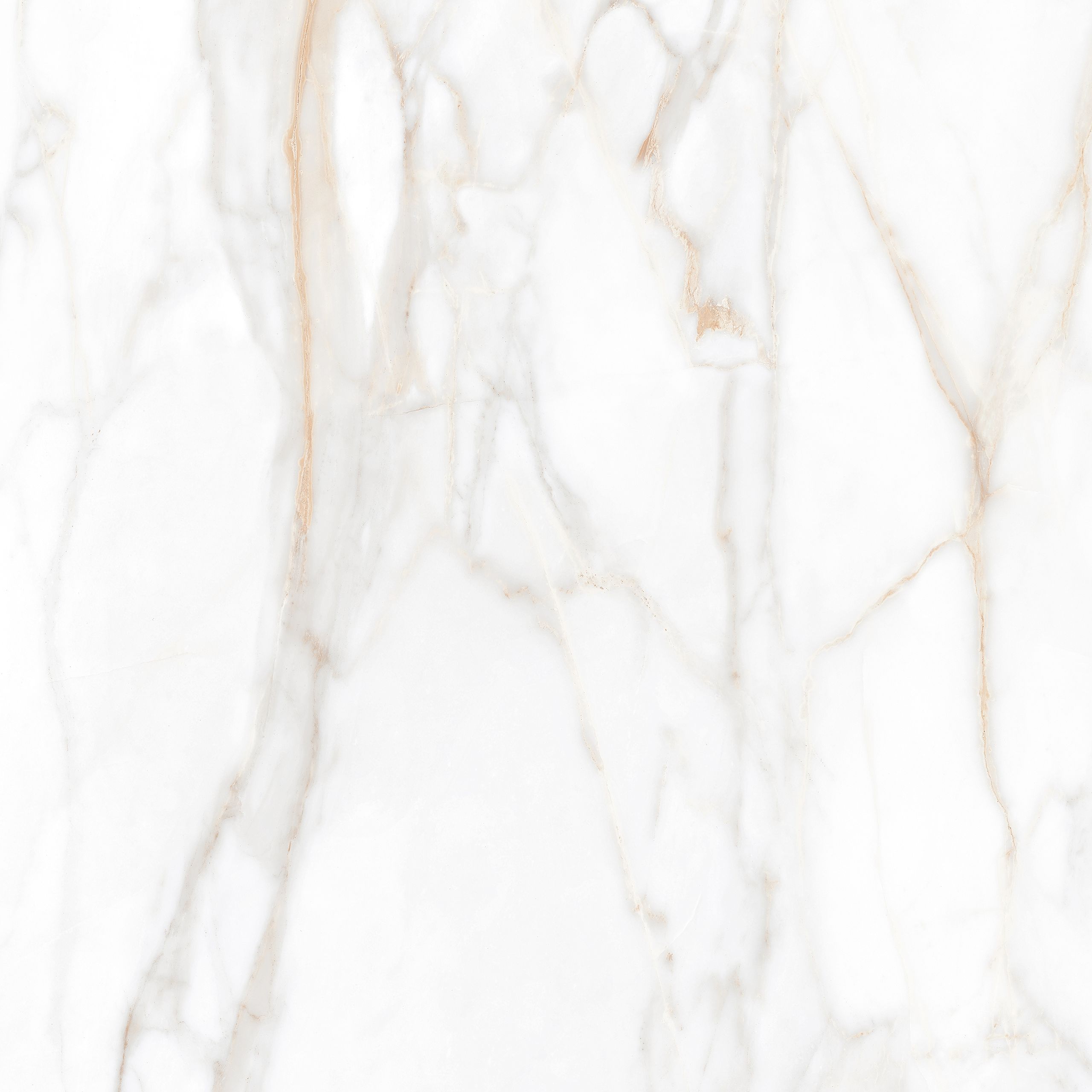 SM02/PS_NC/60x60x10R/GW На пол Supreme SM02 Gold 60x60  Полированный - фото 6