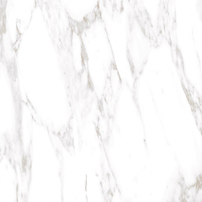 GRS01-19 На пол Ellora Lotus 60x60 - фото 4