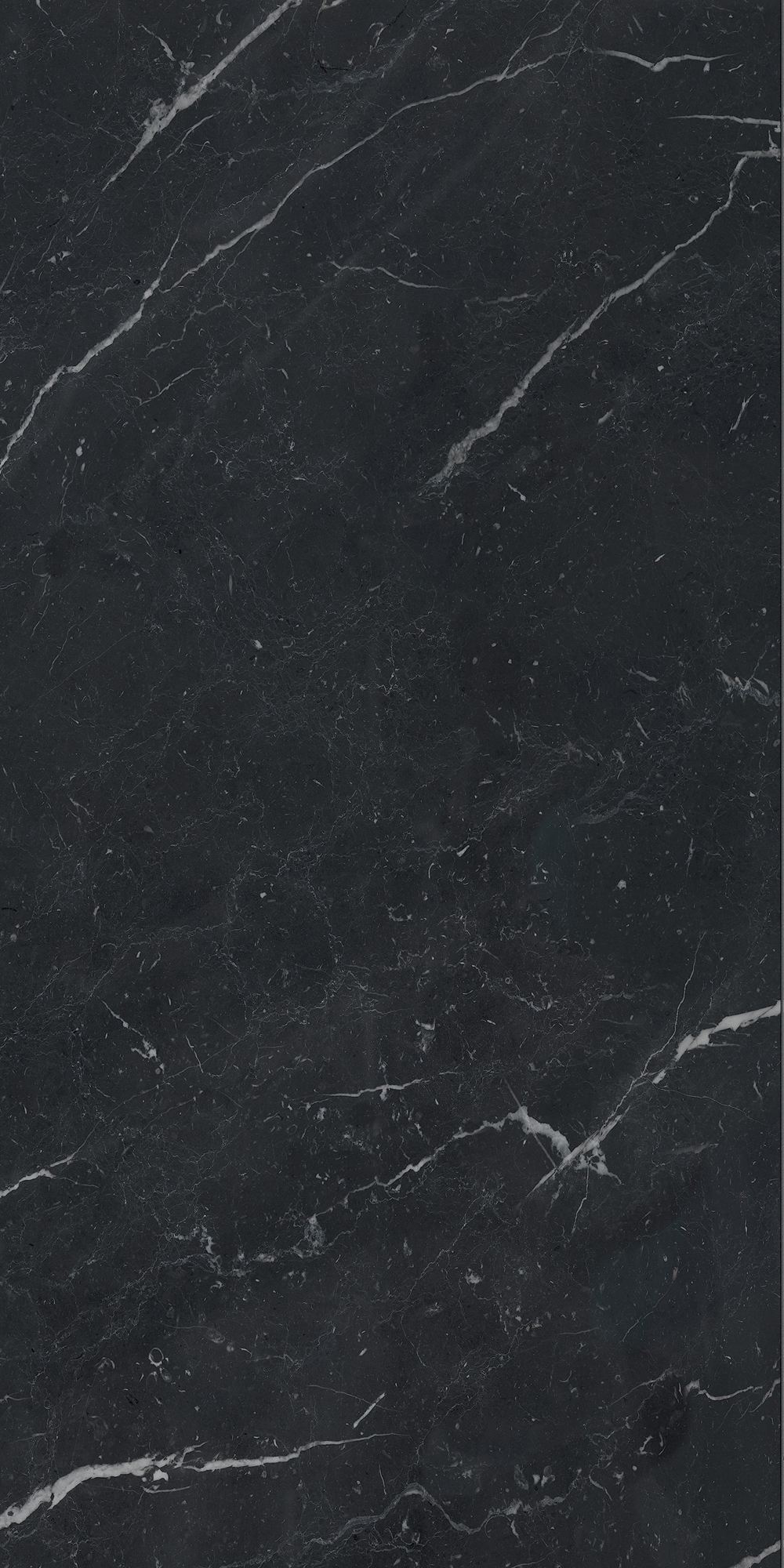 AGB7 На пол Anima Futura Unique Black Luc 60x120 - фото 6