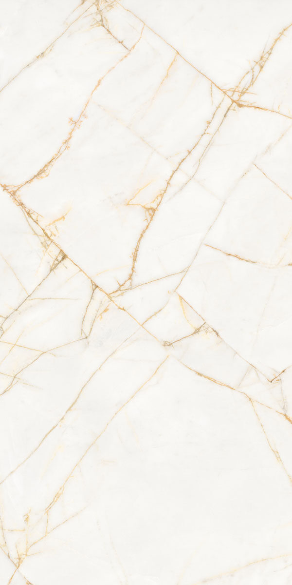 PF60017518 На пол Supreme Hedonism Golden Spider Nat R 60x120 - фото 17