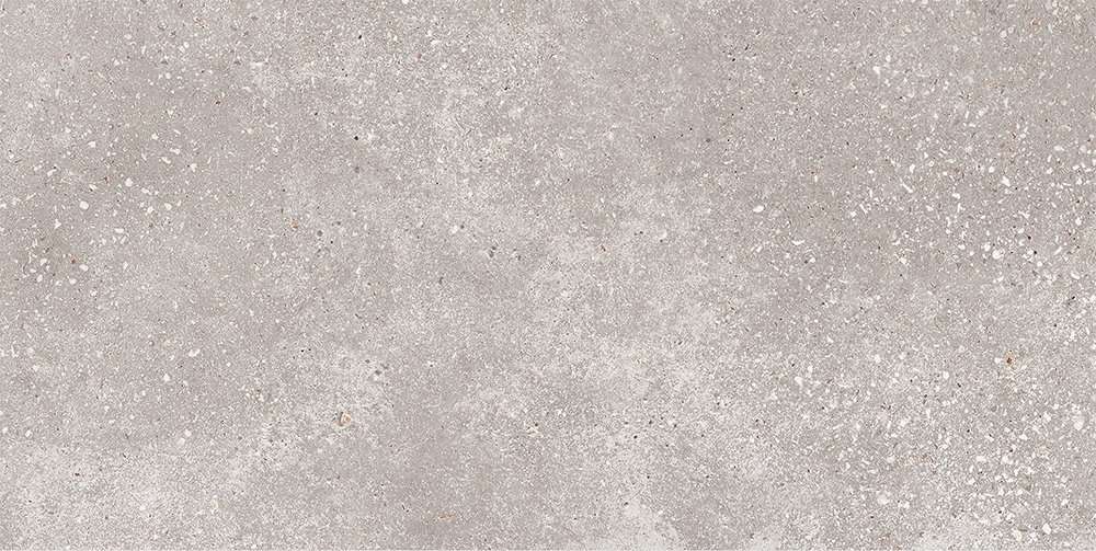 GT183VG На пол Coral Rock Cерый 30x60 - фото 7