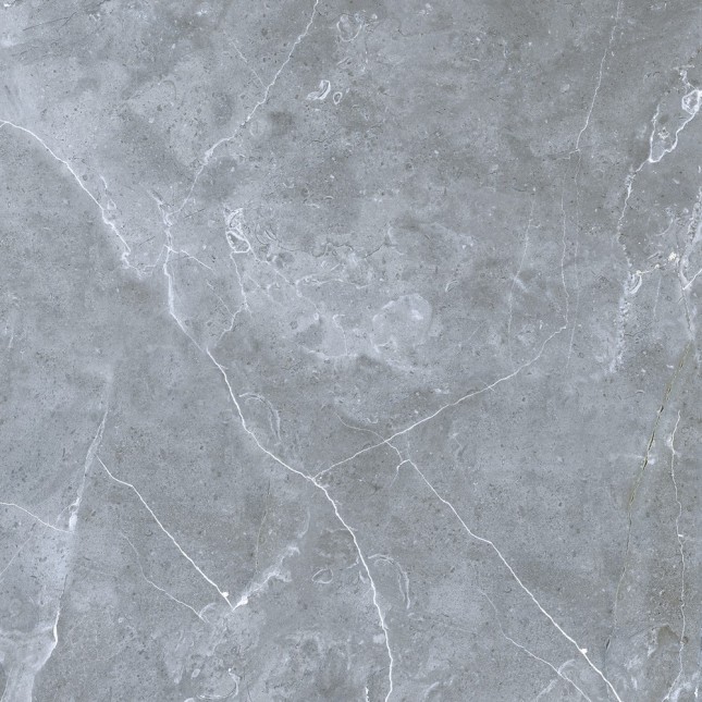 GRS02-16 На пол Petra Northern Silver 60x60 - фото 6