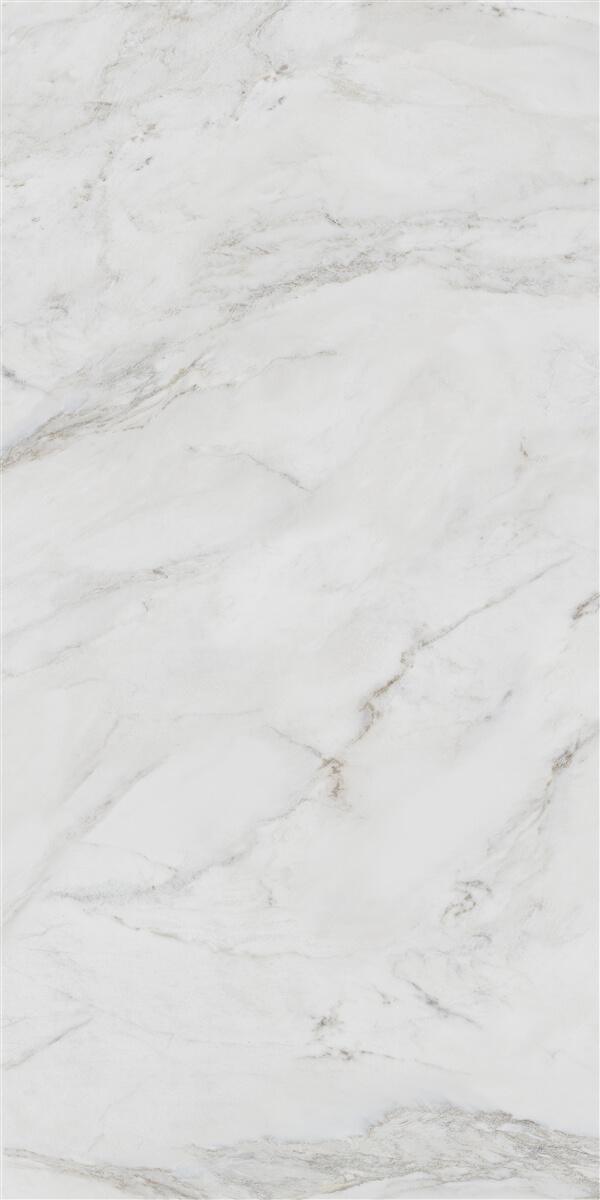 P19809 На пол Anderson White Polish Rec 60x120 - фото 5