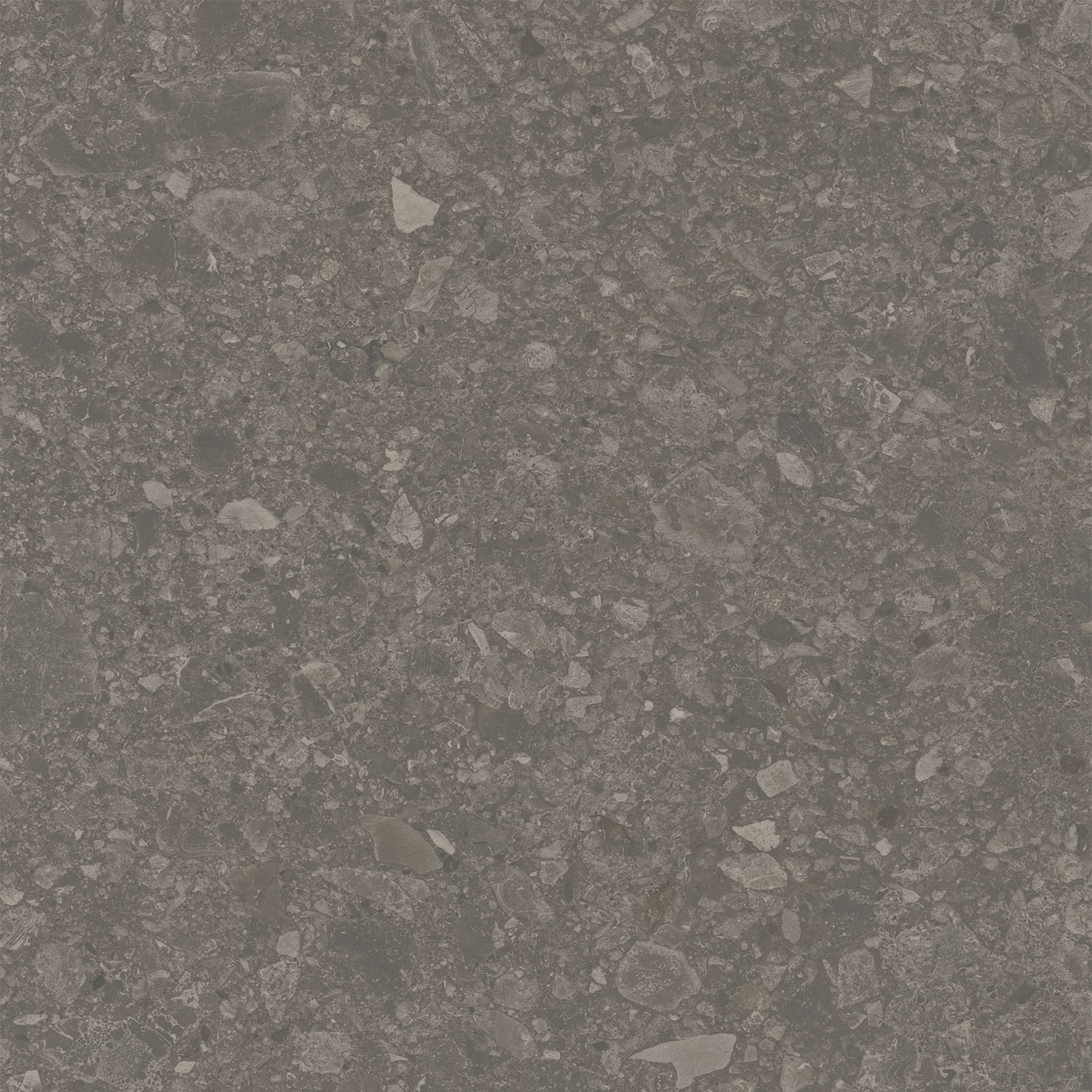 DD012900R На пол Чеппо ди Гре Коричневый матовый обрезной 119.5x119.5x1.1